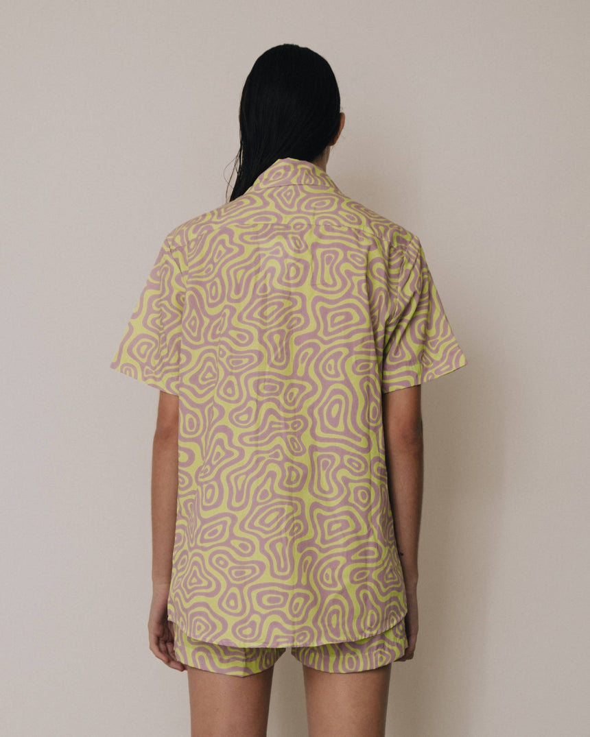 Camisa Gio Wavy Green Color