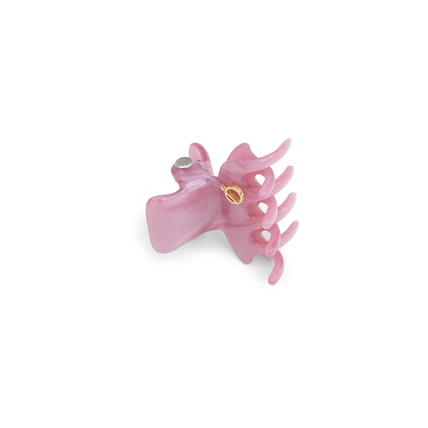 Piranha de Cabelo Small Ballet